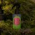 perfumy do taknin  fresh forest.jpg